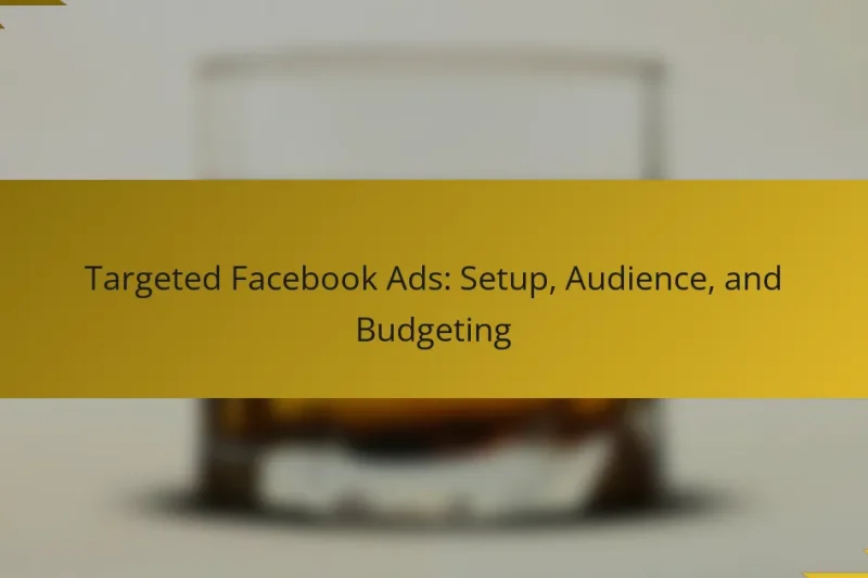 Targeted Facebook Ads: Setup, Audience, and Budgeting