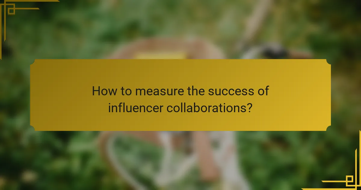 How to measure the success of influencer collaborations?