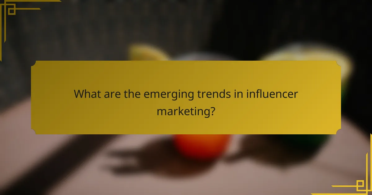 What are the emerging trends in influencer marketing?