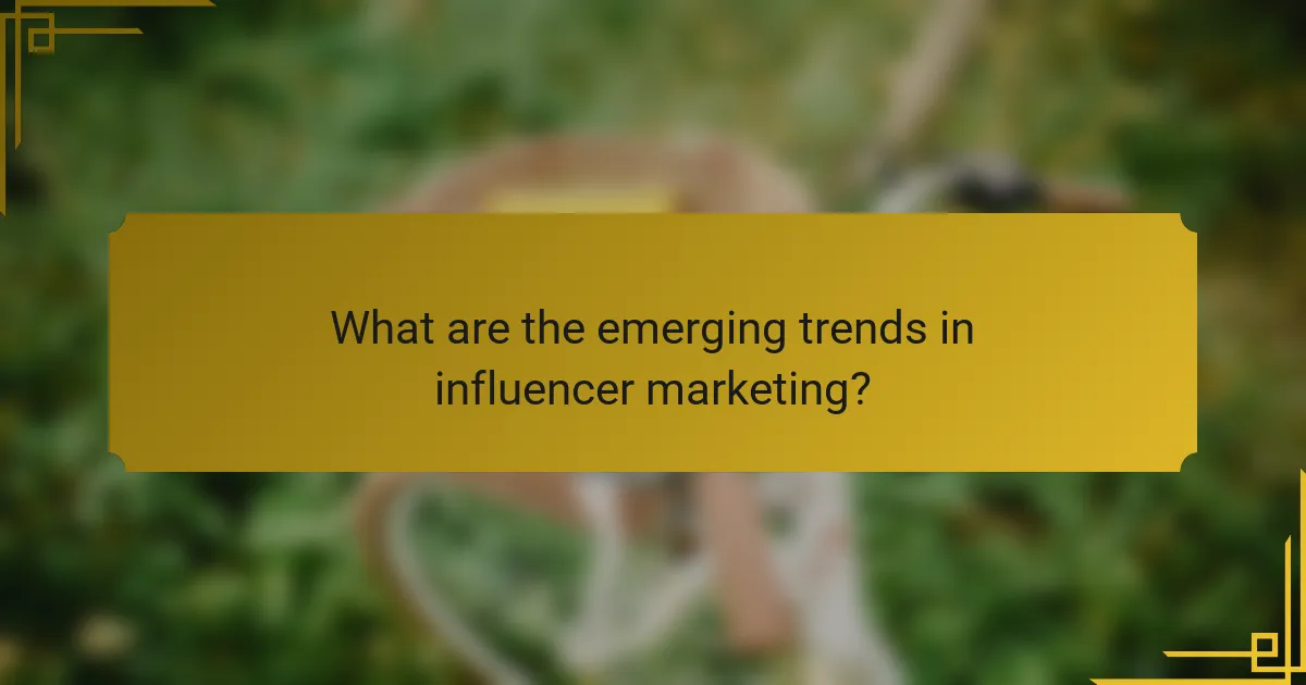 What are the emerging trends in influencer marketing?