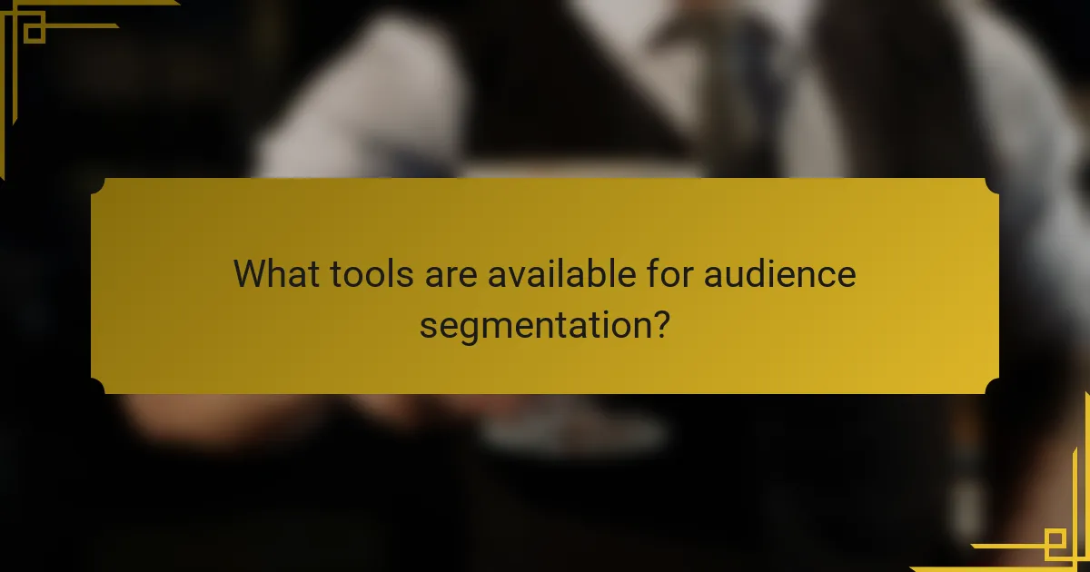 What tools are available for audience segmentation?