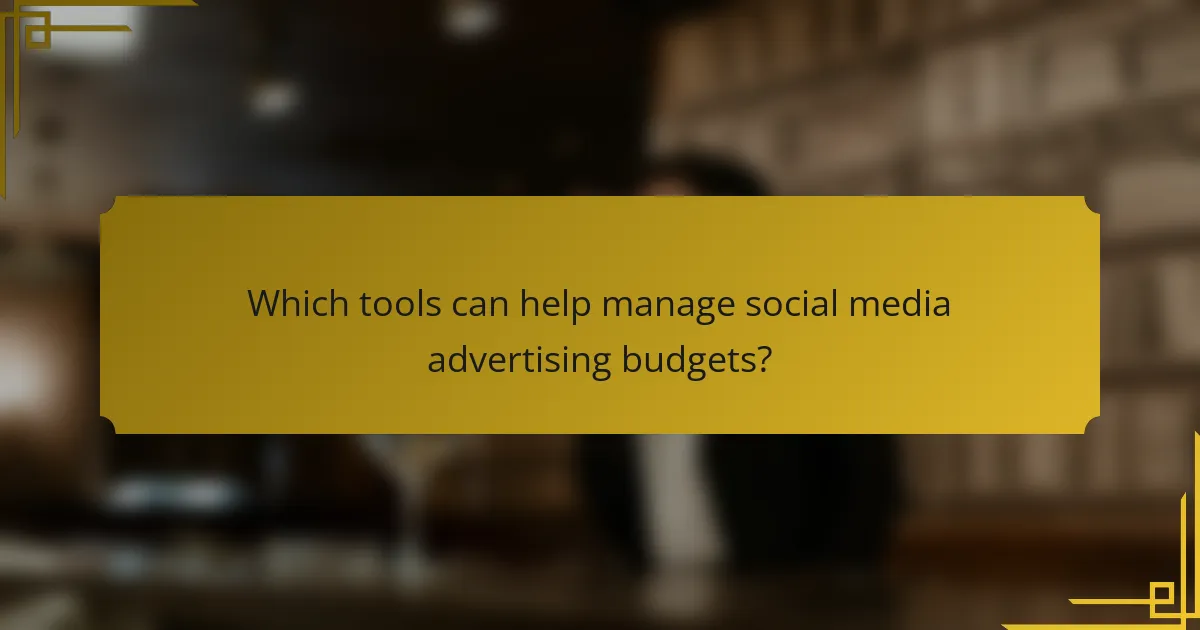 Which tools can help manage social media advertising budgets?